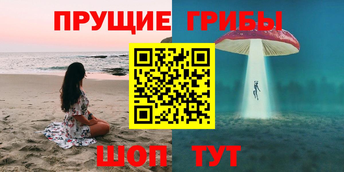 Псилоцибиновые грибы Psilocybine cubensis Артём
