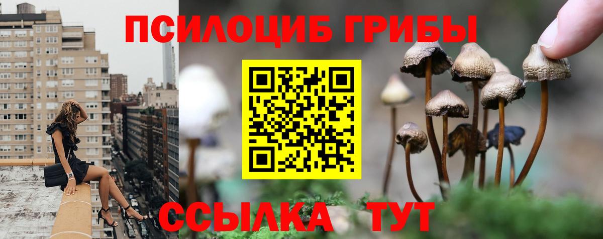 Галлюциногенные грибы GOLDEN TEACHER  Вход с VPN  Галлюциногенные грибы Cubensis  Артём 