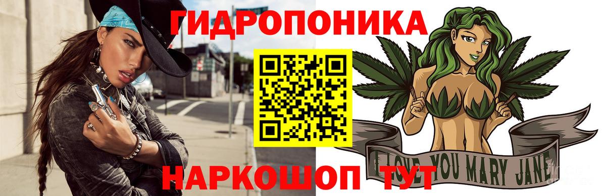 Артём  Бошки марихуана ГИДРОПОН  Каннабис марихуана  Каннабис THC 21%  Вход с VPN 
